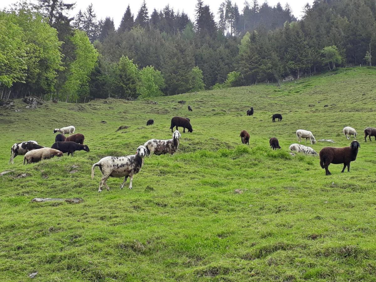 Stallerhof Hüttschlag Buitenkant foto